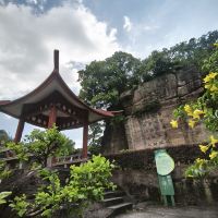 評論圖片 5