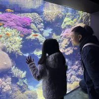 評論圖片 5