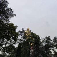 評論圖片 6