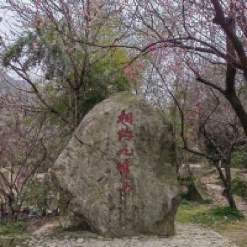 評論圖片 3