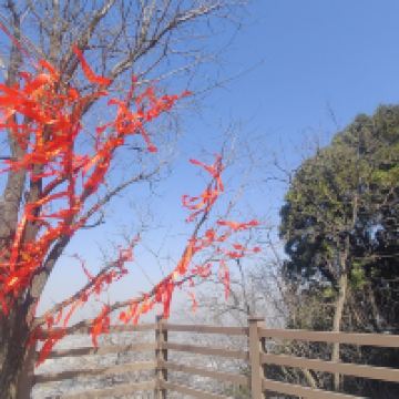 評論圖片 7