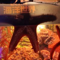 評論圖片 1
