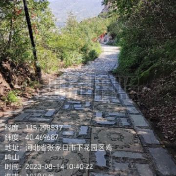 評論圖片 4
