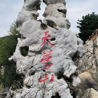 評論圖片 4