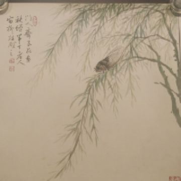 評論圖片 1