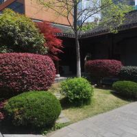評論圖片 2