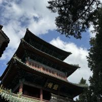 評論圖片 5