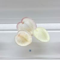 評論圖片 8