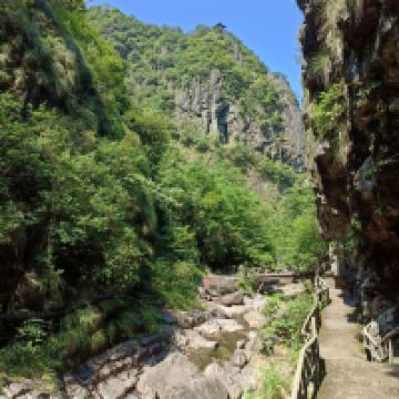 評論圖片 1