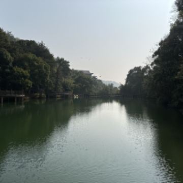評論圖片 2