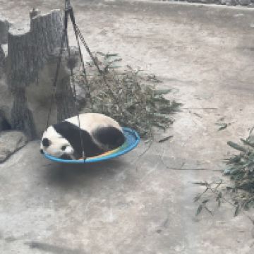 評論圖片 3