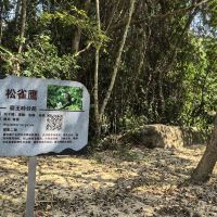 評論圖片 6