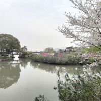 評論圖片 2