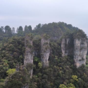 評論圖片 7