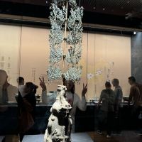 評論圖片 4