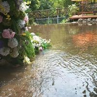 評論圖片 1
