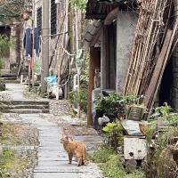 評論圖片 8