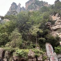 評論圖片 1