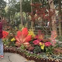 評論圖片 2