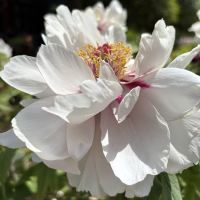評論圖片 3