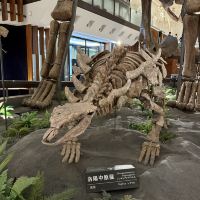 評論圖片 5