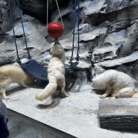 評論圖片 4