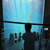 評論圖片 6