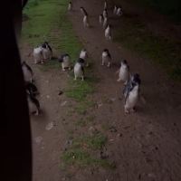 評論圖片 1