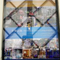 評論圖片 6
