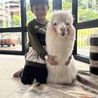 評論圖片 6