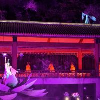 評論圖片 5
