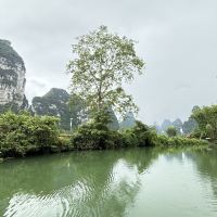 評論圖片 1