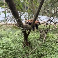 評論圖片 1