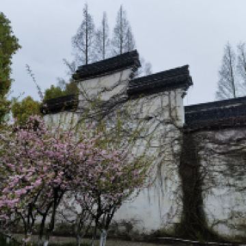 評論圖片 9