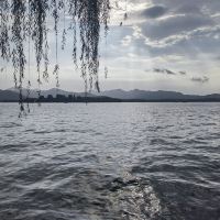 評論圖片 1