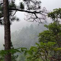 評論圖片 4