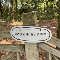 評論圖片 7