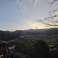 評論圖片 2