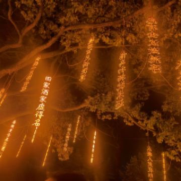 評論圖片 1