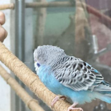評論圖片 3