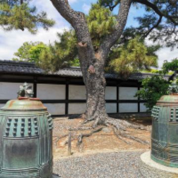 評論圖片 5