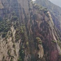 評論圖片 8