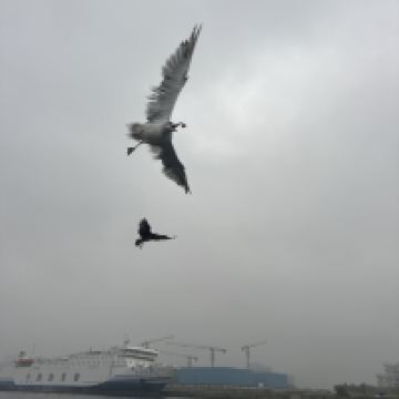評論圖片 4