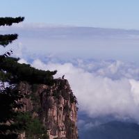 評論圖片 3