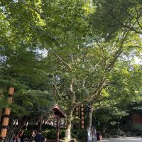 評論圖片 7