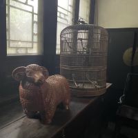 評論圖片 9