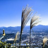 評論圖片 3