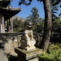 評論圖片 5