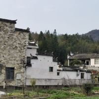 評論圖片 4