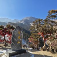 評論圖片 1